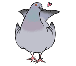 Cute Pigeon sticker #530053