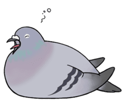 Cute Pigeon sticker #530061