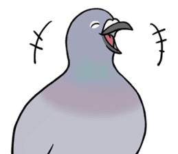 Cute Pigeon sticker #530063