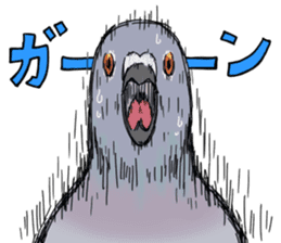 Cute Pigeon sticker #530064