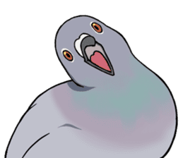 Cute Pigeon sticker #530067
