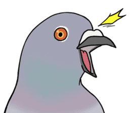 Cute Pigeon sticker #530068