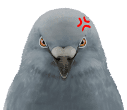 Cute Pigeon sticker #530069