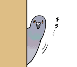 Cute Pigeon sticker #530070
