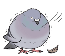 Cute Pigeon sticker #530072