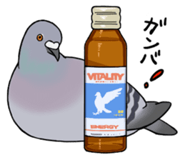 Cute Pigeon sticker #530074