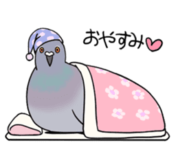 Cute Pigeon sticker #530075