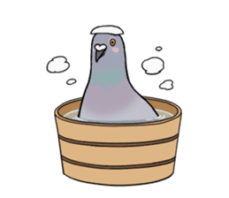 Cute Pigeon sticker #530077