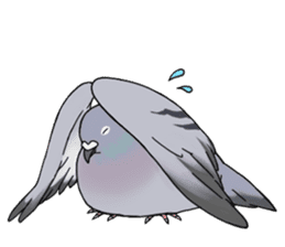 Cute Pigeon sticker #530078
