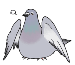 Cute Pigeon sticker #530080