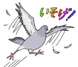 Cute Pigeon sticker #530082