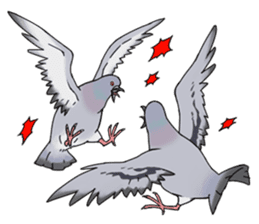 Cute Pigeon sticker #530085