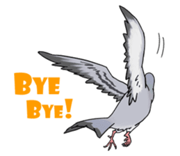 Cute Pigeon sticker #530086