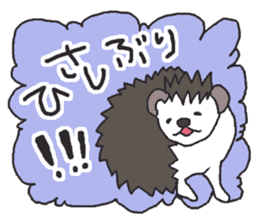 Hedgehogs Haribo family Japanese Ver. sticker #531256