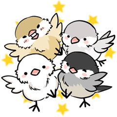 Java sparrow brother