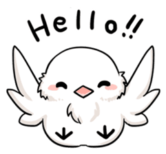Java sparrow brother sticker #533034