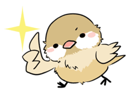 Java sparrow brother sticker #533036