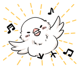 Java sparrow brother sticker #533037