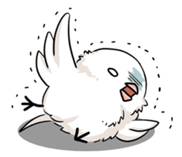 Java sparrow brother sticker #533038