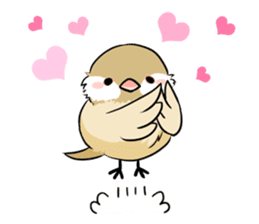 Java sparrow brother sticker #533040