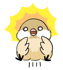 Java sparrow brother sticker #533045