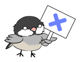 Java sparrow brother sticker #533047