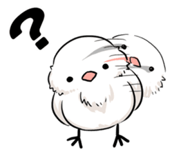 Java sparrow brother sticker #533048