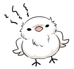 Java sparrow brother sticker #533051