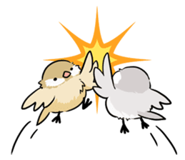 Java sparrow brother sticker #533054