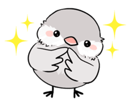 Java sparrow brother sticker #533057