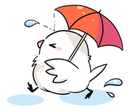 Java sparrow brother sticker #533059