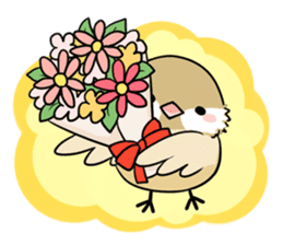Java sparrow brother sticker #533062