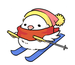 Java sparrow brother sticker #533066