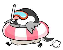 Java sparrow brother sticker #533067