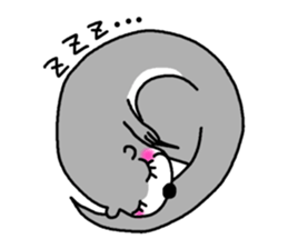 Cute otter sticker #533215