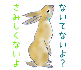 Small Rabbit Feeling sticker #533654