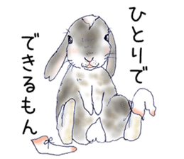 Small Rabbit Feeling sticker #533666