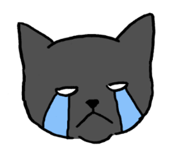 hard boiled cats sticker #534640