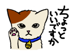 hard boiled cats sticker #534642