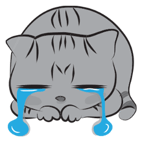 Jacob & Bella Cats sticker #534882