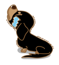 Dachs named Lucky sticker #535255