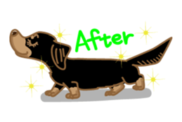 Dachs named Lucky sticker #535265