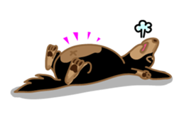 Dachs named Lucky sticker #535271