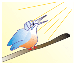 Kawase-kun sticker #535969