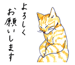 brown tabby cat koto-chan part2 sticker #536514