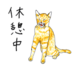 brown tabby cat koto-chan part2 sticker #536515