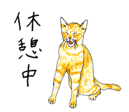 brown tabby cat koto-chan part2 sticker #536515
