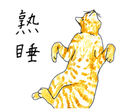 brown tabby cat koto-chan part2 sticker #536516