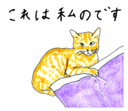 brown tabby cat koto-chan part2 sticker #536517
