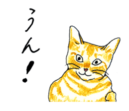 brown tabby cat koto-chan part2 sticker #536521